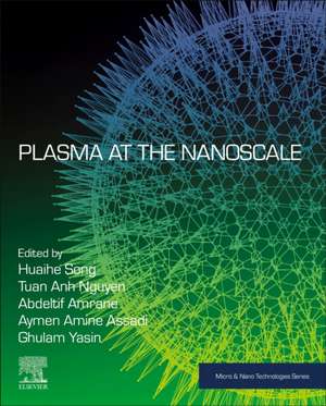 Plasma at the Nanoscale de Huaihe Song