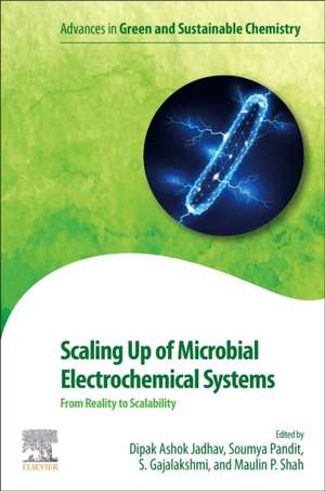 Scaling Up of Microbial Electrochemical Systems: From Reality to Scalability de Dipak Ashok Jadhav