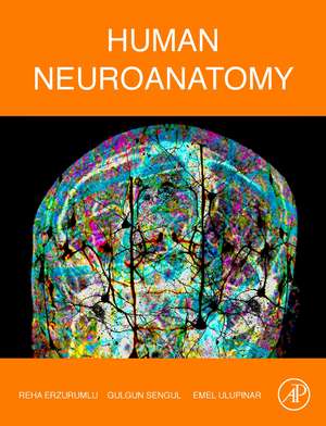 Human Neuroanatomy de Reha Erzurumlu