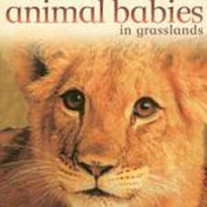 Reading 2007 Big Book Grade K Unit 2 Week 3 Animal Babies in Grasslands