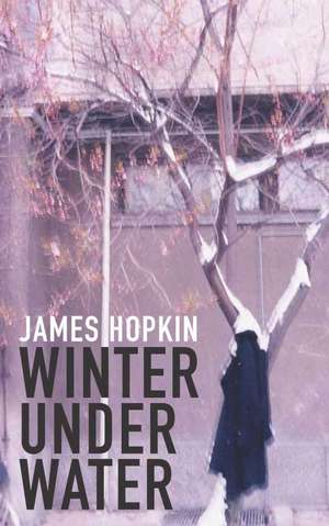 Winter Under Water de JAMES HOPKIN