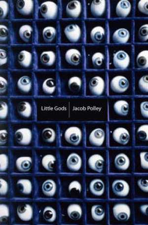 Polley, J: Little Gods de Jacob Polley