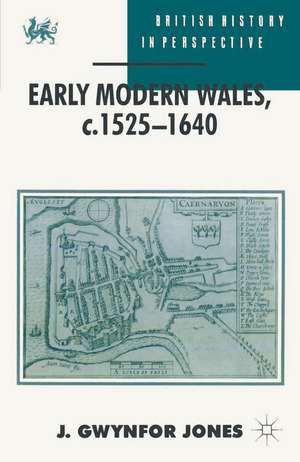 Early Modern Wales, c. 1525–1640 de J. Gwynfor Jones