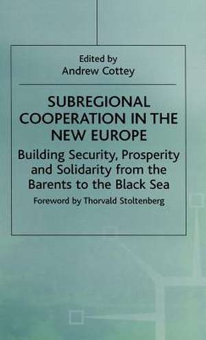 Subregional Cooperation in the New Europe: Building Security, Prosperity and Solidarity from the Barents to the Black Sea de Andrew Cottey