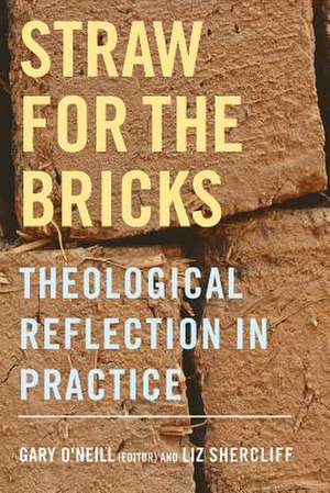 Straw for the Bricks de Liz Shercliff