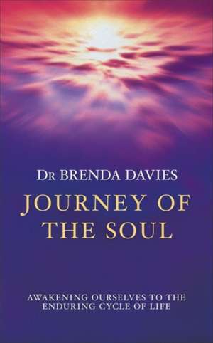 Journey of The Soul de Brenda Davies