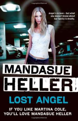 Lost Angel de Mandasue Heller