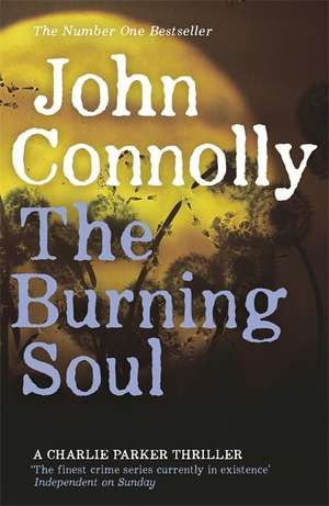 The Burning Soul de John Connolly