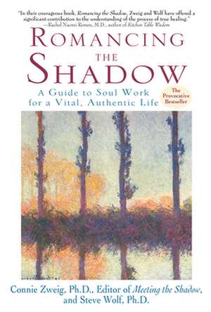 Romancing the Shadow de Connie Zweig