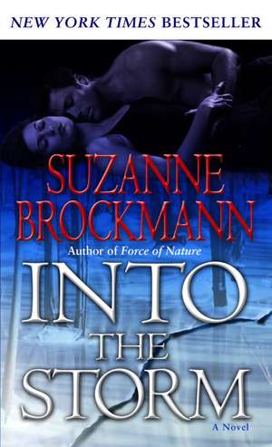 Into the Storm: A Novel of Sex, Suits, and Business Affairs de Suzanne Brockmann