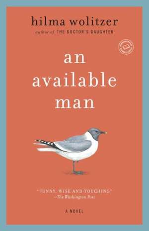 An Available Man de Hilma Wolitzer