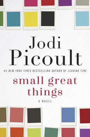 Small Great Things de Jodi Picoult