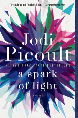 A Spark of Light de Jodi Picoult