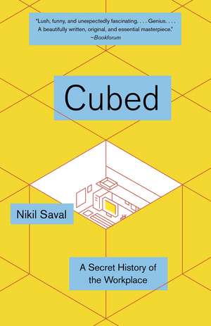 Cubed de Nikil Saval