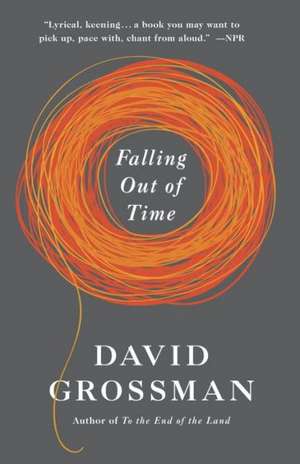 Falling Out of Time de David Grossman