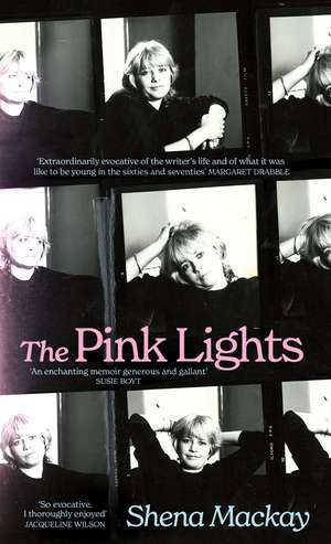 The Pink Lights de Shena MacKay