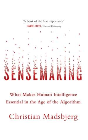 Sensemaking de Christian Madsbjerg