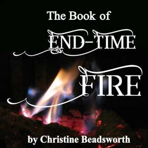 The Book of End-Time Fire de Christine Beadsworth