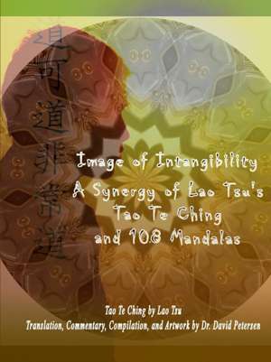 Image of Intangibility de David Petersen