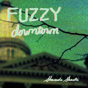 Fuzzy Downtown de Sharada Shastri