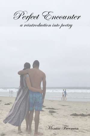 Perfect Encounter de Monica Freeman