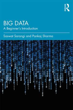 Big Data: A Beginner's Introduction de Saswat Sarangi