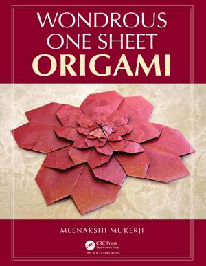 Wondrous One Sheet Origami de Meenakshi Mukerji