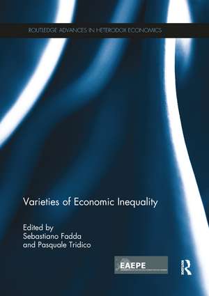 Varieties of Economic Inequality de Sebastiano Fadda