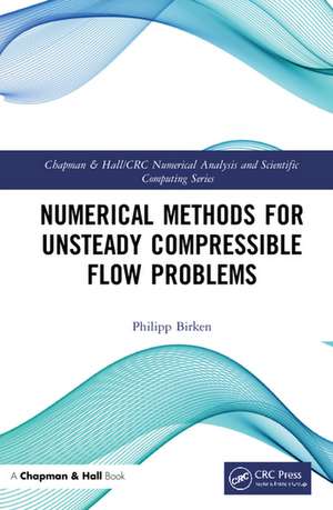 Numerical Methods for Unsteady Compressible Flow Problems de Philipp Birken