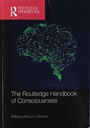 The Routledge Handbook of Consciousness de Rocco J. Gennaro