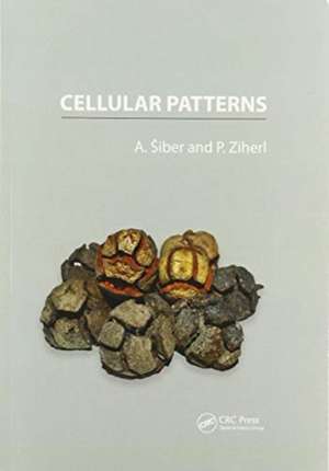 Cellular Patterns de Antonio Siber