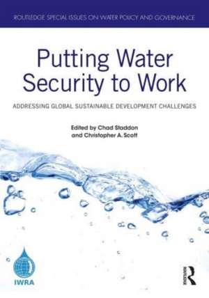 Putting Water Security to Work: Addressing Global Sustainable Development Challenges de Chad Staddon