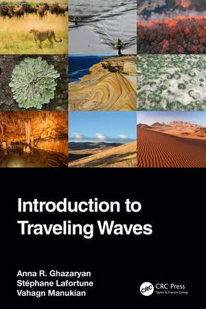 Introduction to Traveling Waves de Anna R. Ghazaryan