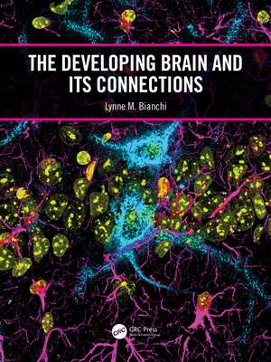 The Developing Brain and its Connections de Lynne M. Bianchi