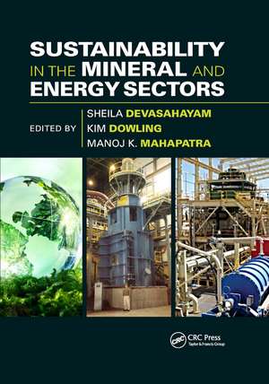 Sustainability in the Mineral and Energy Sectors de Sheila Devasahayam