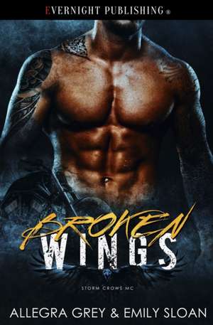 Broken Wings de Emily Sloan