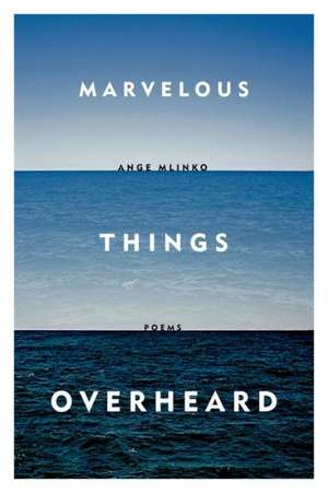 Marvelous Things Overheard de Ange Mlinko