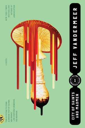 City of Saints and Madmen de Jeff VanderMeer