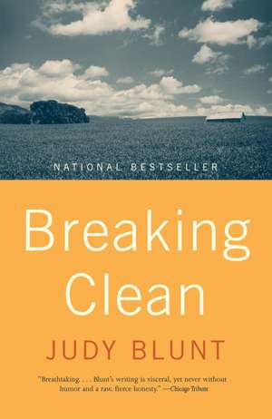 Breaking Clean de Judy Blunt