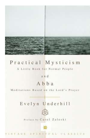 Practical Mysticism: Meditations Based on the Lord's Prayer de Carol Zaleski