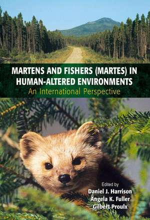 Martens and Fishers (Martes) in Human-Altered Environments: An International Perspective de Daniel J. Harrison