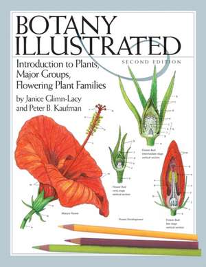 Botany Illustrated: Introduction to Plants, Major Groups, Flowering Plant Families de Janice Glimn-Lacy