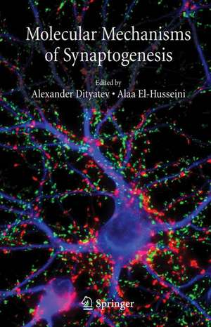 Molecular Mechanisms of Synaptogenesis de Alexander Dityatev