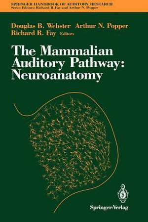 The Mammalian Auditory Pathway: Neuroanatomy de Douglas B Webster