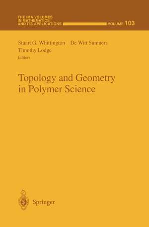 Topology and Geometry in Polymer Science de Stuart G. Whittington