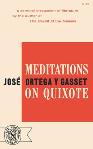 Meditations on Quixote de Ygj Ortega