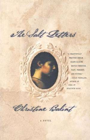 The Salt Letters – A Novel de Christine Balint