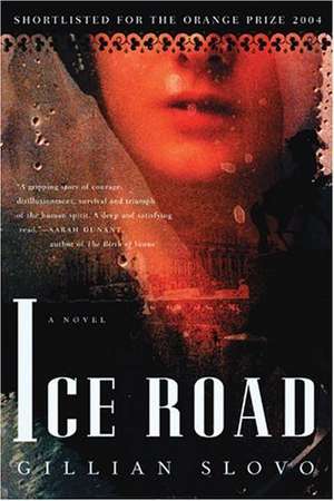 Ice Road de Gillian Slovo