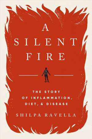 A Silent Fire de Shilpa Ravella