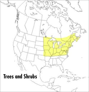 A Peterson Field Guide To Trees And Shrubs: Northeastern and north-central United States and southeastern and south-centralCanada de Roger Tory Peterson